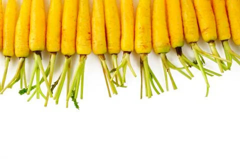 Carrots on white background Stock Photos