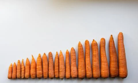 Carrots on a white background. Stock Photos
