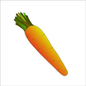 Carrots on a white background. Vector image. Vegetable. Yellow and green Stock Illustration