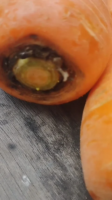 Carrots on a wooden table Stock Footage 220584530