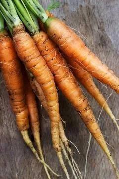Carrots on the wooden table Stock Photos