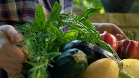 Carrying Fresh Vegetables Stock Footage 94123260