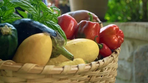Carrying Fresh Vegetables Stock Footage 94123430