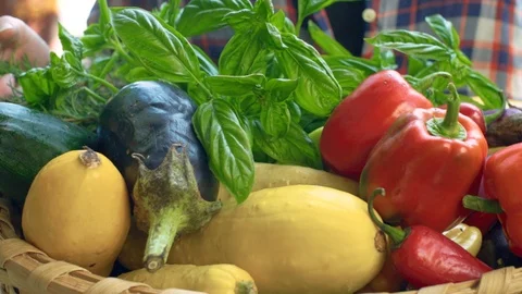Carrying Fresh Vegetables Stock Footage 94123509