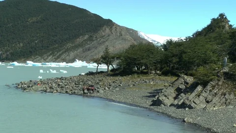 Carrying Glacier Ice on Shoreline Video stock 100611953