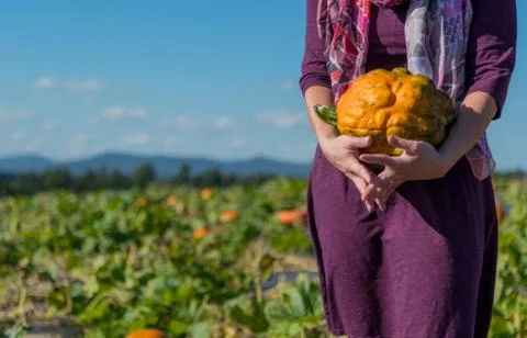 Carrying an Orange Bumpy Pumpkin Stock Photos
