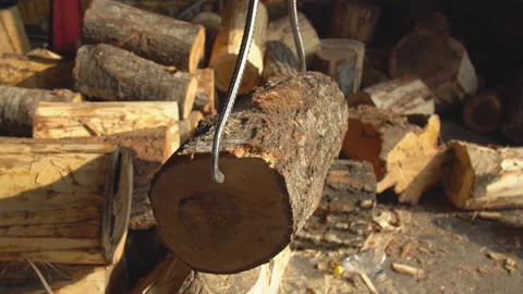 Carrying round logs for processing Stock Footage 123638586