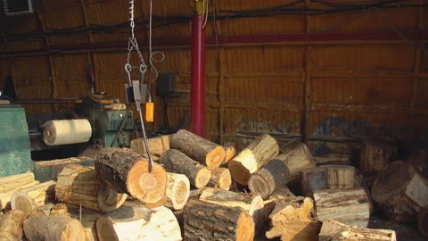 Carrying round logs for processing Stock Footage 124283263