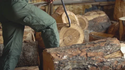 Carrying round logs for processing Stock Footage 124423852