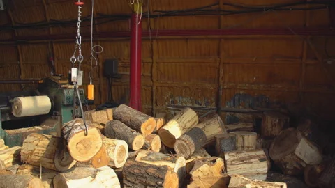 Carrying round logs for processing Stock Footage 124654109