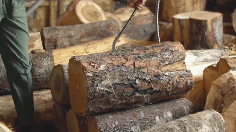 Carrying round logs for processing Stock Footage 129867199