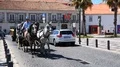 Cars and cart with horse going along narrow street in city, urban transportation HD Footage