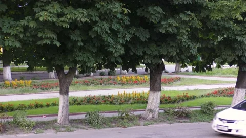 Cars drive along the road. Chestnuts. Flower beds. B roll. Small town landscape Stock Footage