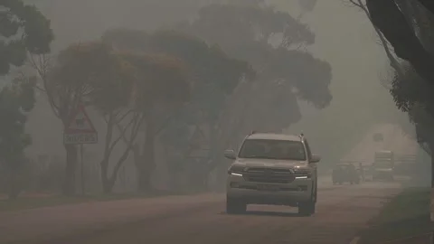 Cars driving through a Wild Fire Stock Footage 313175643