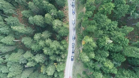 Cars On a forest road Stock Footage