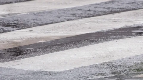 Cars going down the street in the rain on crosswalk, close-up Video stock 81948853