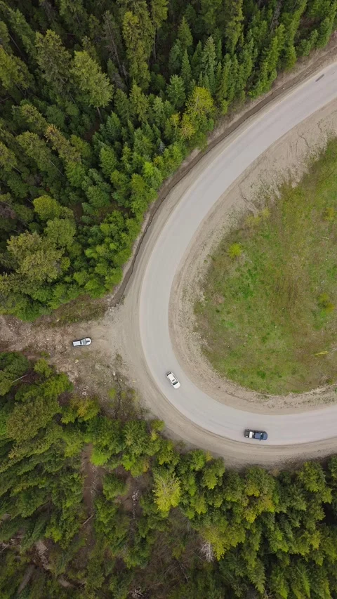 Cars going round a corner vertical orientation, by a forest road. Stock Footage 276988134