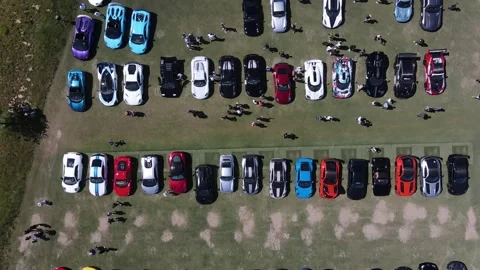 Cars on Grass Stock Footage 201556515
