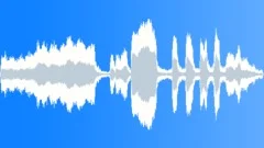 Cars honking crazy 01Sound Effect