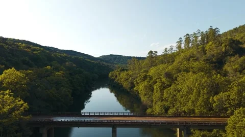 Cars passing over a bridge. Green river amid trees on a sunny day. Video stock 317657341