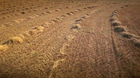Cars passing through fields Stock Footage 9026556