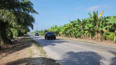 Cars on the road Stock Footage 233501746
