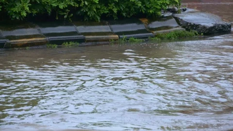 Cars rush through rain puddle and splash countless transparent water droplet Stock Footage 338182628