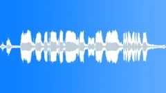 Cars Specific Chevy Blazer Int-Ext 1987 Onb Start Idle Drive Off Accel Decel SuSound Effect