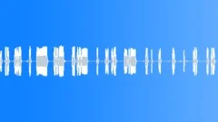 Cars Specific Horns1950 Chrysler Horn HonksExteriorDistantVarious Lengths Sound Effect