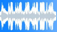 Cars Specific Race Cars Various Toyota Corolla Modified Onboard Punch Sound Effect
