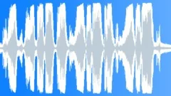 Cars Specific Race Cars Various Toyota Corolla Modified Onboard Skid Sound Effect