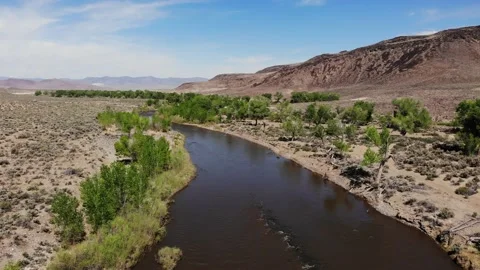 Carson River Aerial Drone Shot - Lahontan Valley Stock Footage 134586333