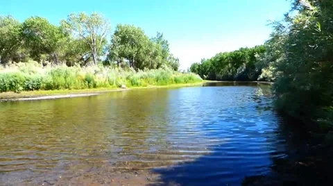 The Carson River at Carson City NV Video stock 40751061