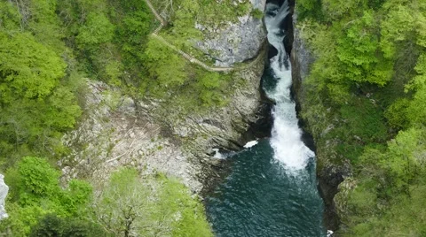 Carst river in deep george and caves - tilt down Stock Footage 62411217