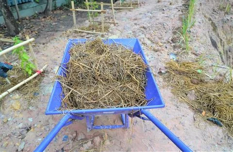 Cart is designed for transporting hay, applying fertilizer, planting trees, and  Stock Photos