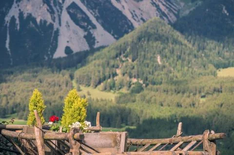 Cart with flowers on a background of mountains Stock Photos
