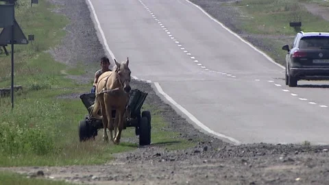 Cart Stock Footage 113967906