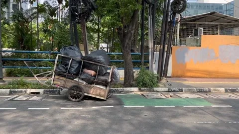 Cart 動画素材 211107254