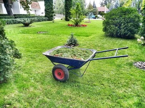 Cart with grass Stock Photos