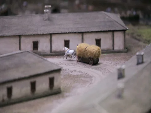 Cart with hay Stock Footage 99952354