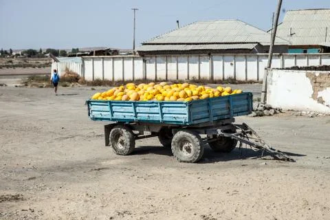 Cart with melons Stock Photos