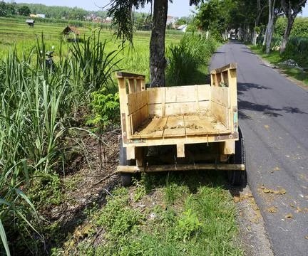 The cart Stock Photos