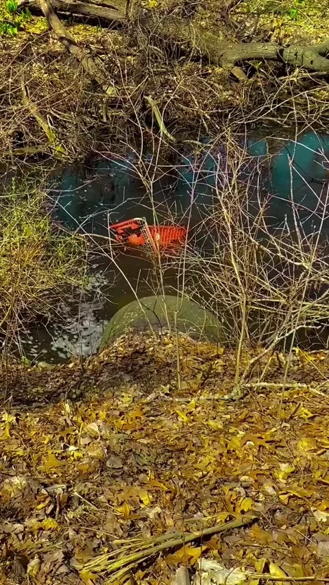 Cart in a pond Stock Footage 279521070