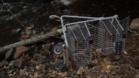 CART ON SIDE IN CREEK Stock Footage 194489433