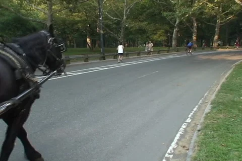 Cartage1  Stock Footage 1063826