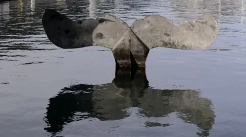 Cartagena Stock Footage 22216261