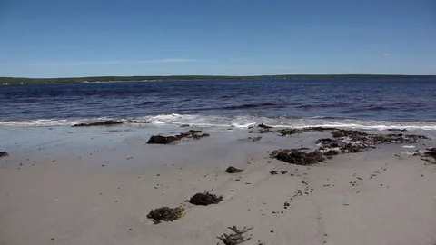 Carters Beach Face on Stock Footage 94041133