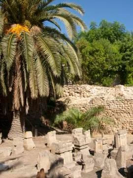 Carthage Tunis Fotos de archivo