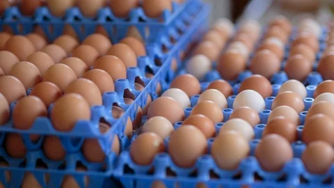 Carton of brown eggs Stock Footage 94880803
