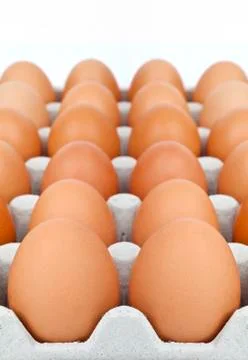 Carton of Eggs Stock Photos